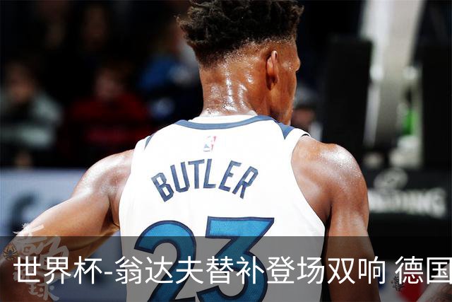 世界杯-翁达夫替补登场双响 德国2-1绝杀科特迪瓦出线