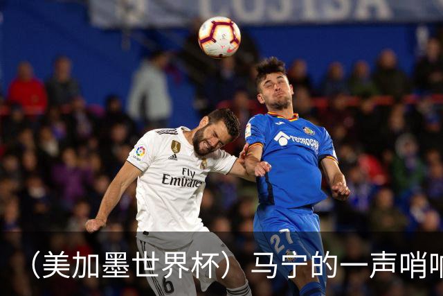 （美加墨世界杯）马宁的一声哨响，中国足球的另一种抵达